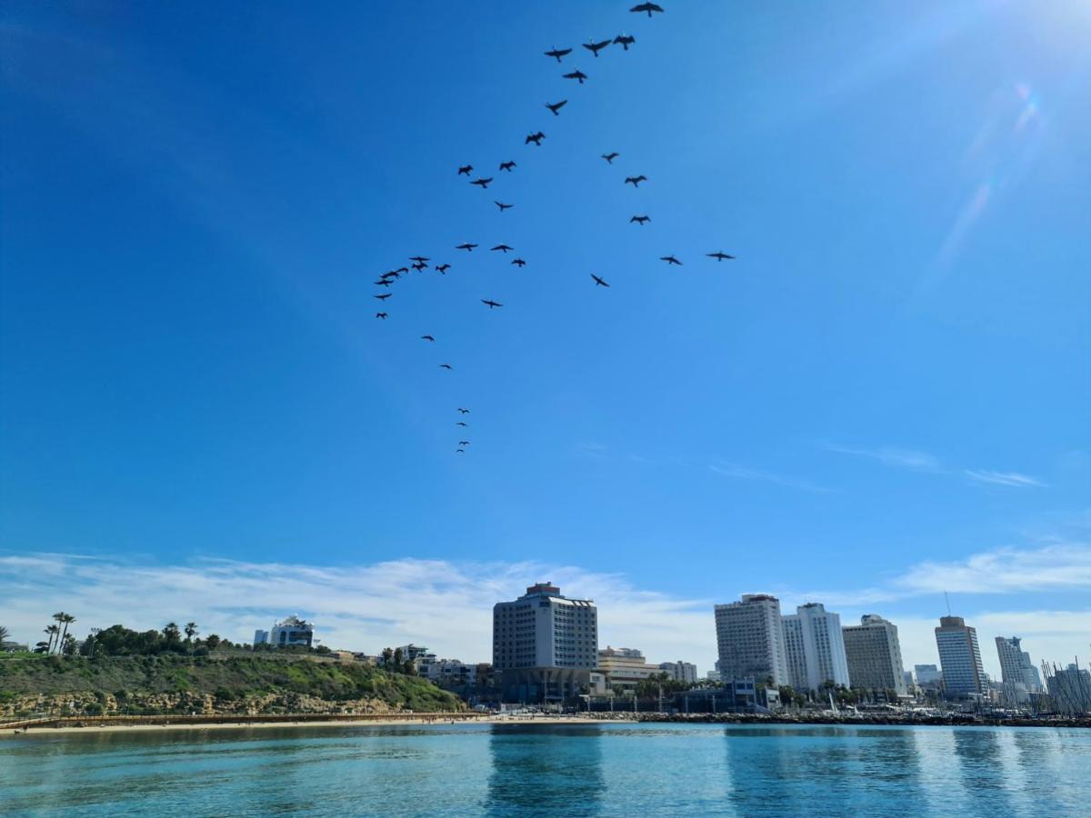 Lapin 9 - By Beach Apartments Tlv Tel Aviv Luaran gambar